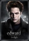 Twilight Edward Mini Poster