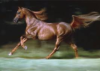 Horse In Motion