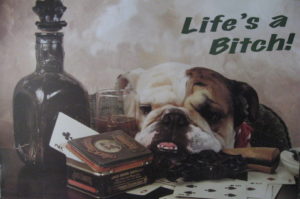 Life's A Bitch Poster