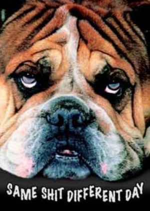 Same Shit Dog Poster