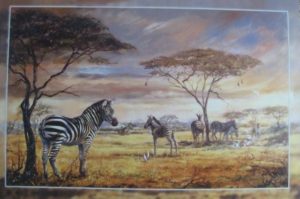 Zebra Herd Poster