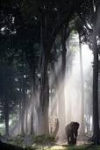 Elephant Away From The Herd Poster