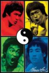 Bruce Lee Colours Poster
