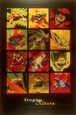 Frogs and Flora Poster
