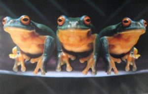 Froggy Trio Poster