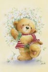 Teddy