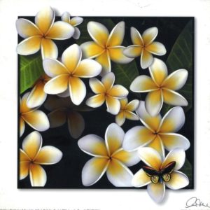Frangipani And Butterfly Art Print