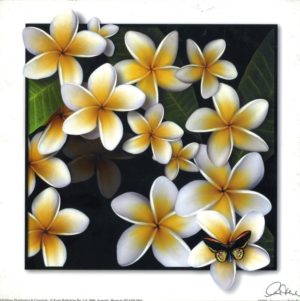Frangipani And Butterfly Art Print