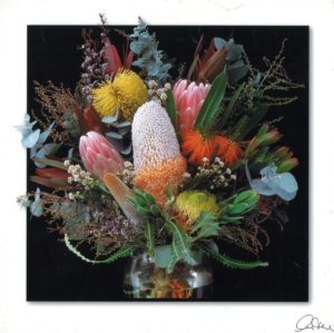 Native Flowers On Black Background Photographic Print