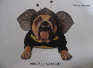 Zelda Wisdom Why Bee Normal Dog Poster