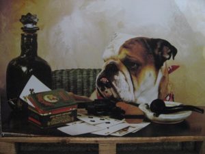 Jack Daniels Bulldog