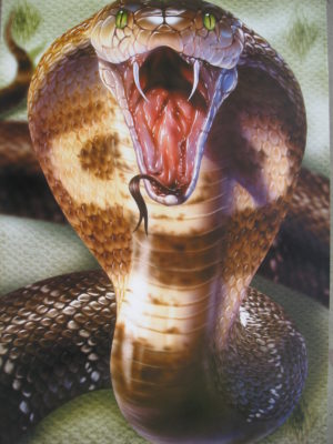 Striking Cobra Poster