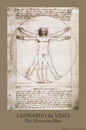 Leonardo da Vinci - Vitruvian Man Poster
