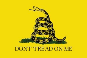 Gadsden Flag Dont Tread on Me