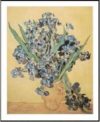 Vincent Van Gogh - The Iris Art Print