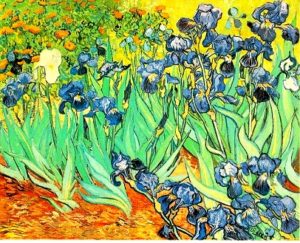 Vincent Van Gogh - The Irises Poster