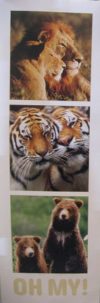 Oh My! Lions and Tigers and Bears Slim Poster