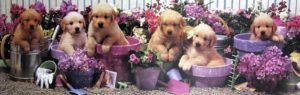 Puppies in Pots Slim Poster
