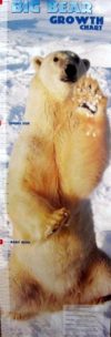 Polar Bear Height Chart Slim Poster