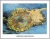 Vincent Van Gogh - Sunflower Art Print