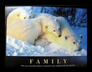 Polar Bears Family Poster