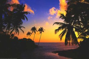 Hikkaduwa Beach Mini Poster