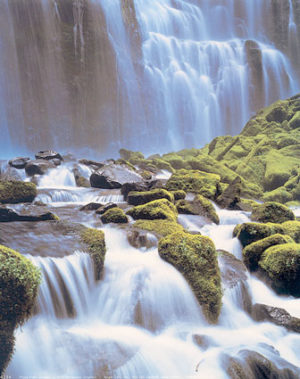 Proxy Falls Oregon Mini Poster