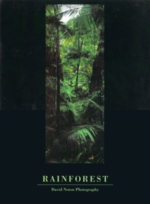 Rainforest David Norton Mini Poster