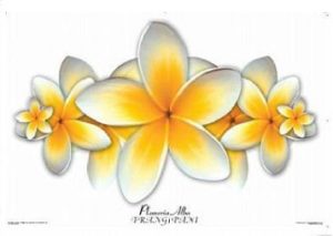 Frangipani Poster