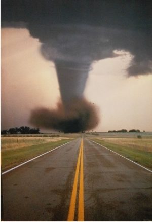Californian Twister Poster
