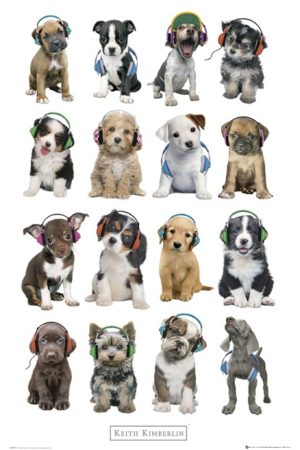 Keith Kimberlin - Puppies Headphones
