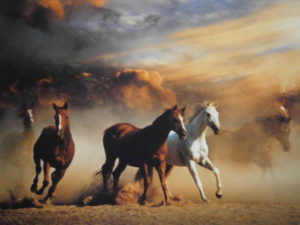 Stampeding Horses Mini Poster