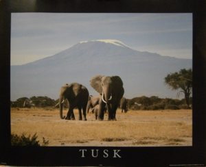 Tusk Mini Poster
