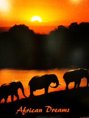 African Dreams Elephants Mini Poster