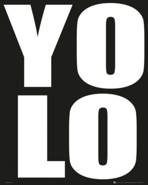 You Only Live Once YOLO Mini Poster