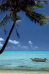 Tropical Bay