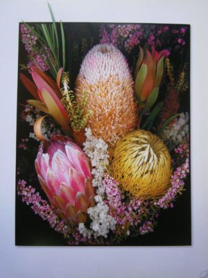 Native Flowers Mini Poster