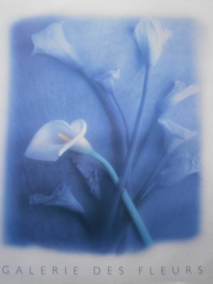 Galerie Des Fleurs Mini Posters
