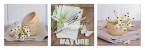 Flowers And Nature Triptych Photographic Print