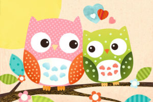 Sweet Owl Hello