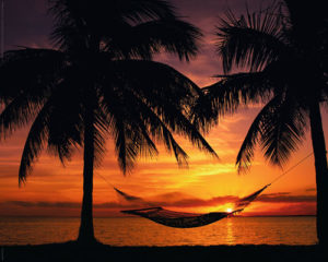 Hammock Sunset Mini Poster