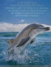 Dolphin Alone Mini Poster