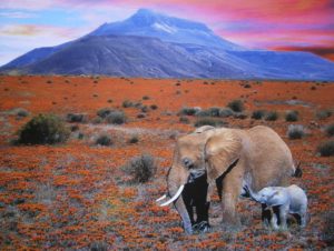 Elephants in a Red Field Mini Poster