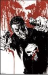 The Punisher Frank Castle Artwork Poster
