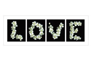 Love Flowers Art Print