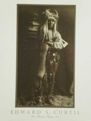 Native American Iron Breast Mini Poster