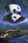 Pandas and The Great Wall of China Poster