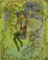 The Wisteria Fairy Mini Poster
