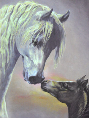 Horse Kisses