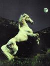 Horse and Moon Mini Poster